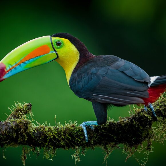 Meet your Posher, K - Picture 1 of 1